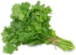 Coriander
