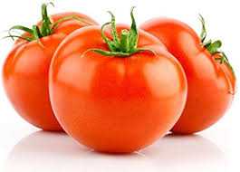 Tomato